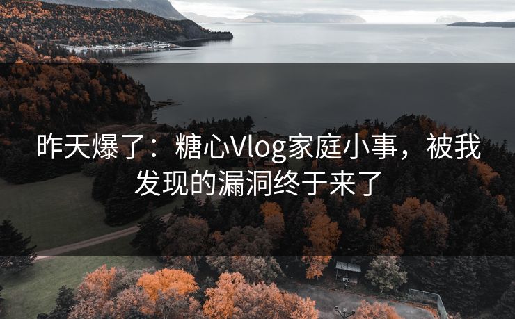 昨天爆了：糖心Vlog家庭小事，被我发现的漏洞终于来了