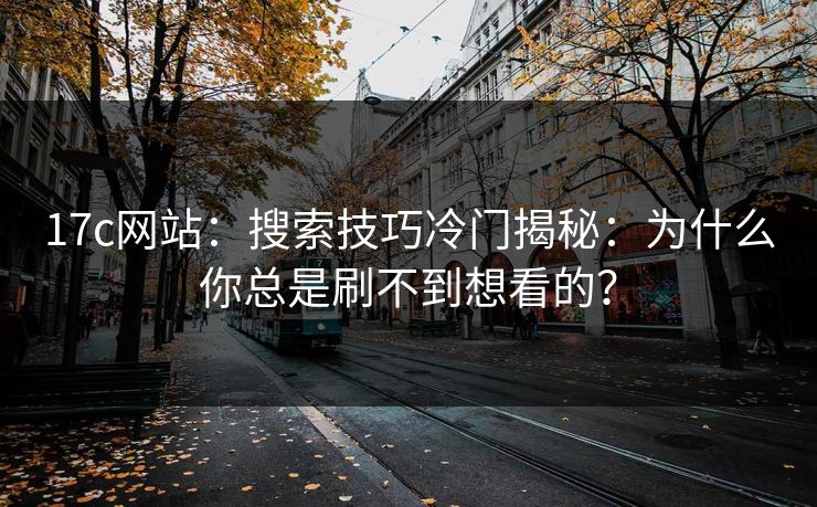 17c网站：搜索技巧冷门揭秘：为什么你总是刷不到想看的？